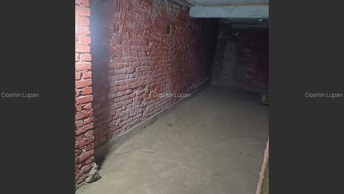 Spațiu comercial generos, la drum principal, localitatea Daia - 10