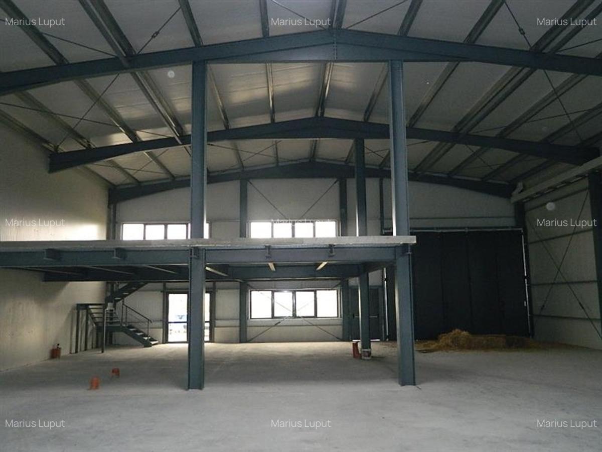 Spațiu industrial, 1000 mp în Torontalului - 5