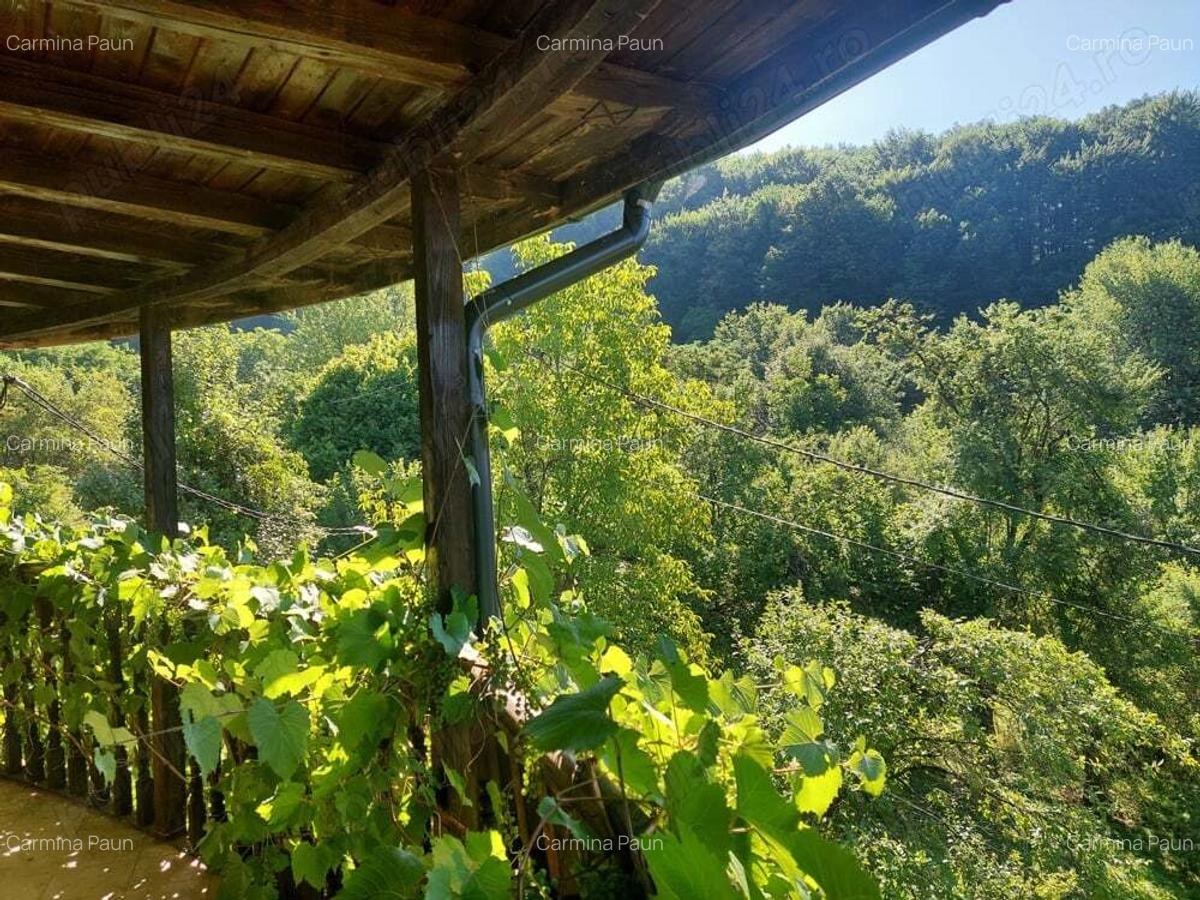 Vand vila jud Prahova com Drajna de Sus - 6 Vand vila jud Prahova com Drajna de Sus - 6