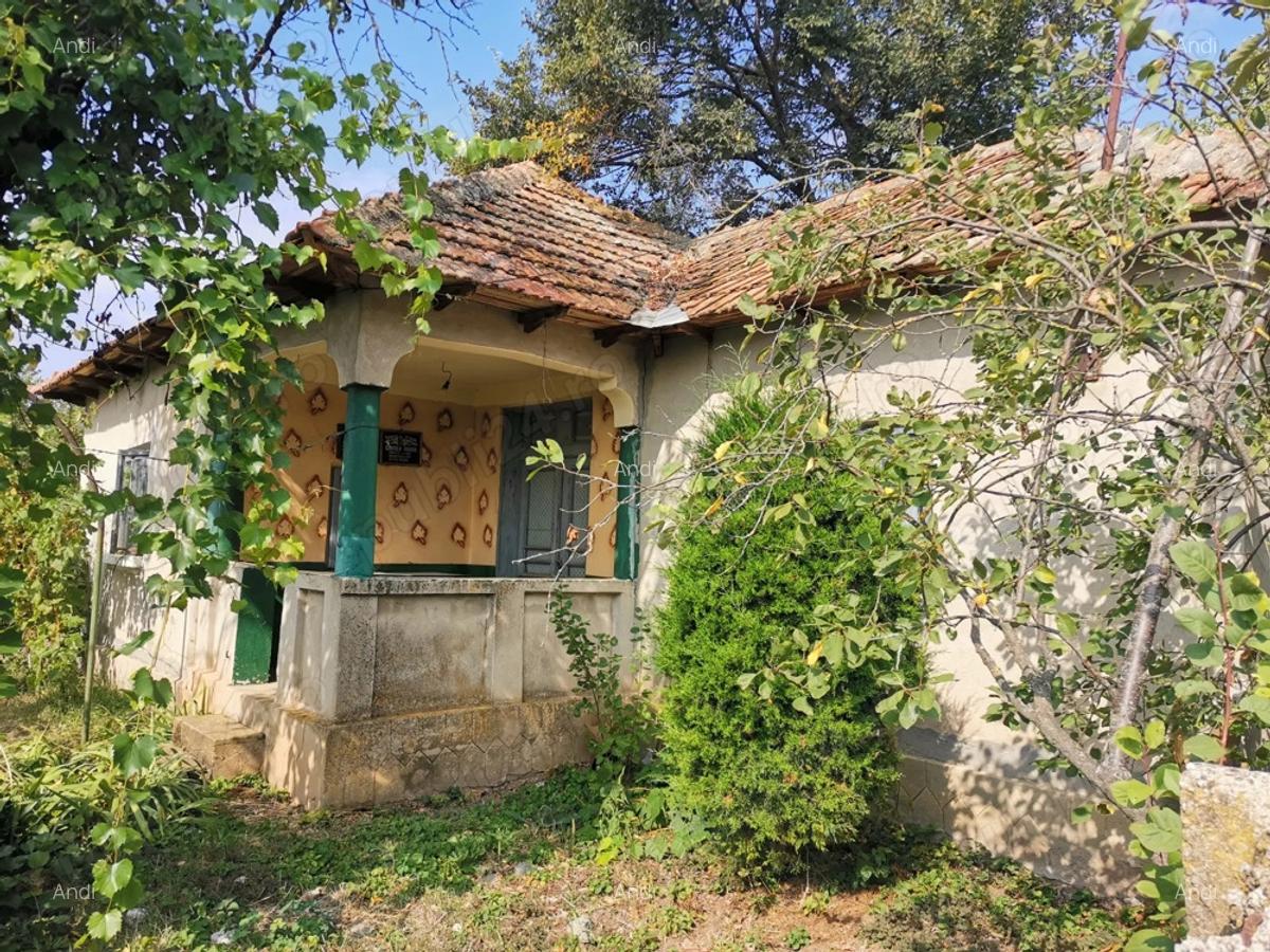 Casa de vanzare in comuna Bogdana - 2