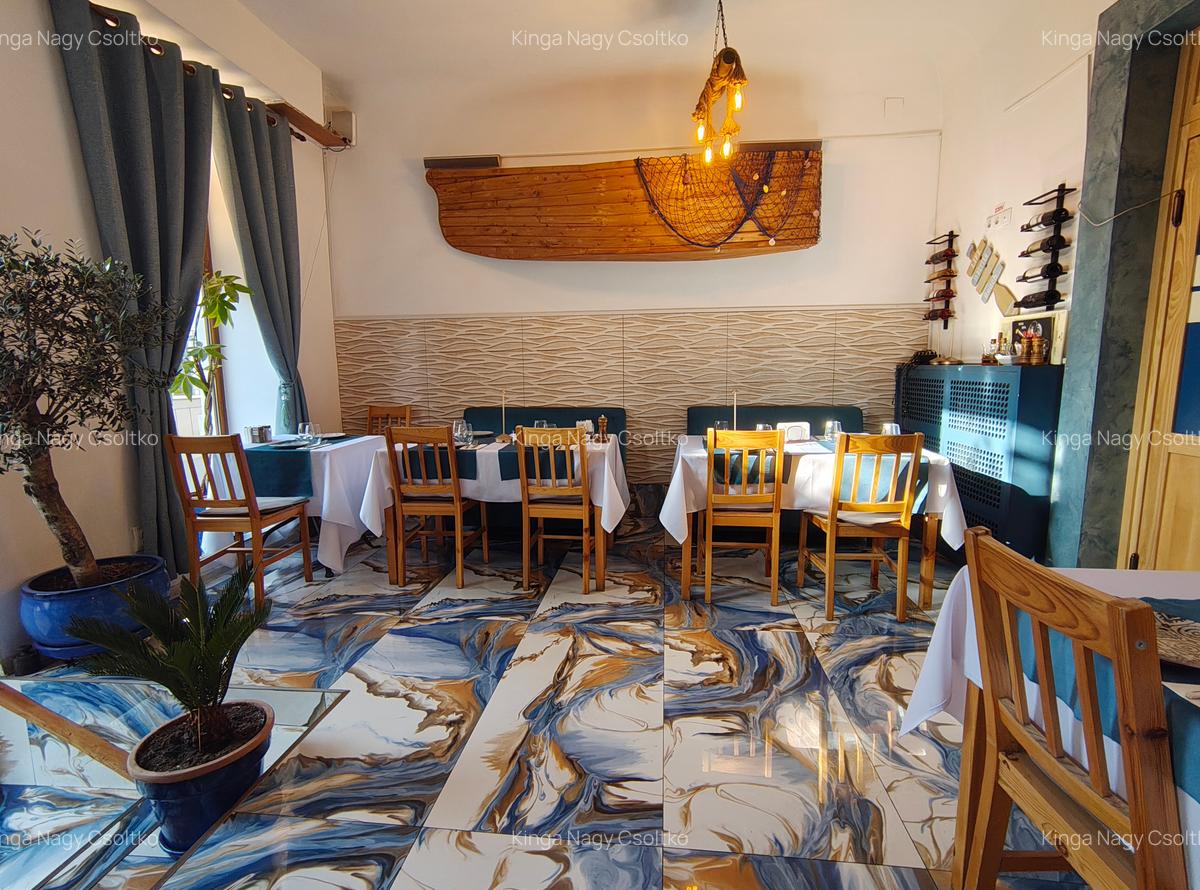 DE VÂNZARE – Spațiu de alimentație publică 53mp+111mp teren - 6