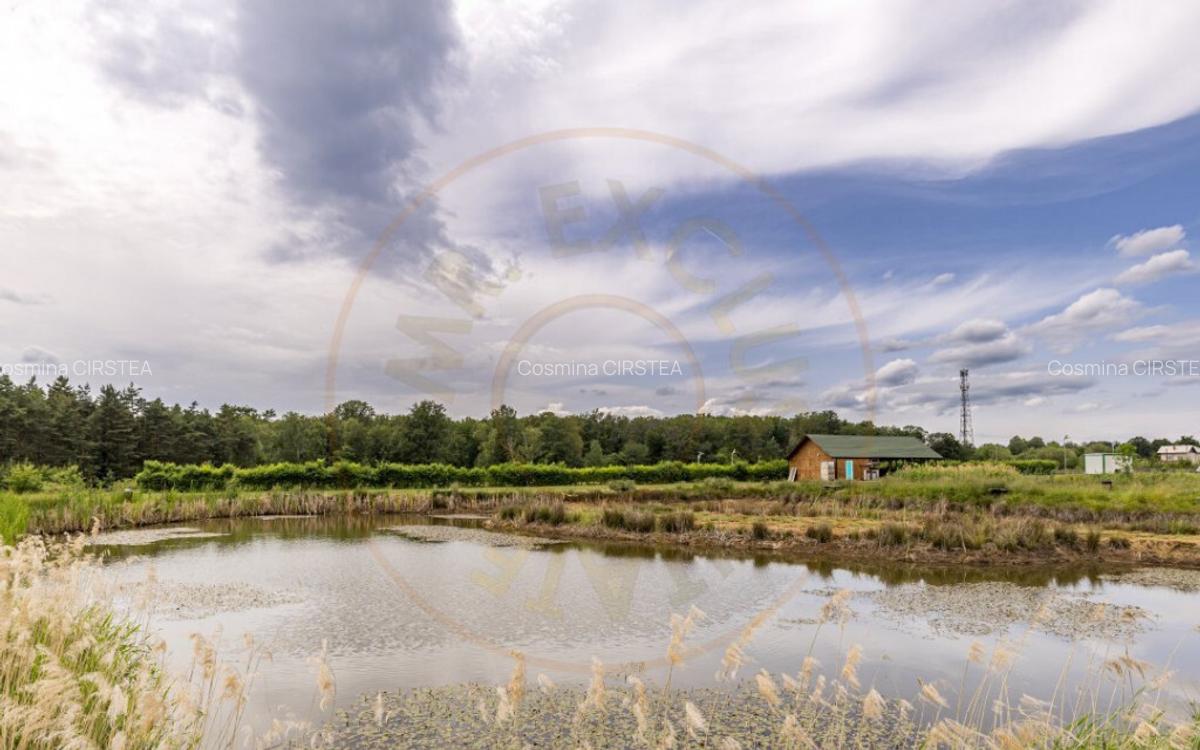 Afacere functionala - MOTEL si CAMPING cu terasa, piscina si - 17