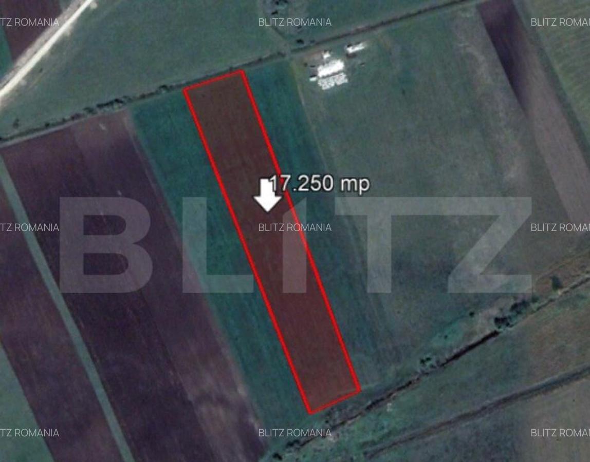 Teren de 17250 mp, Stupini - 1