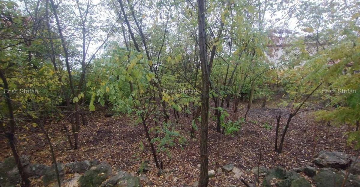 Teren liber pentru casa/case in centru, Ovidiu - 3