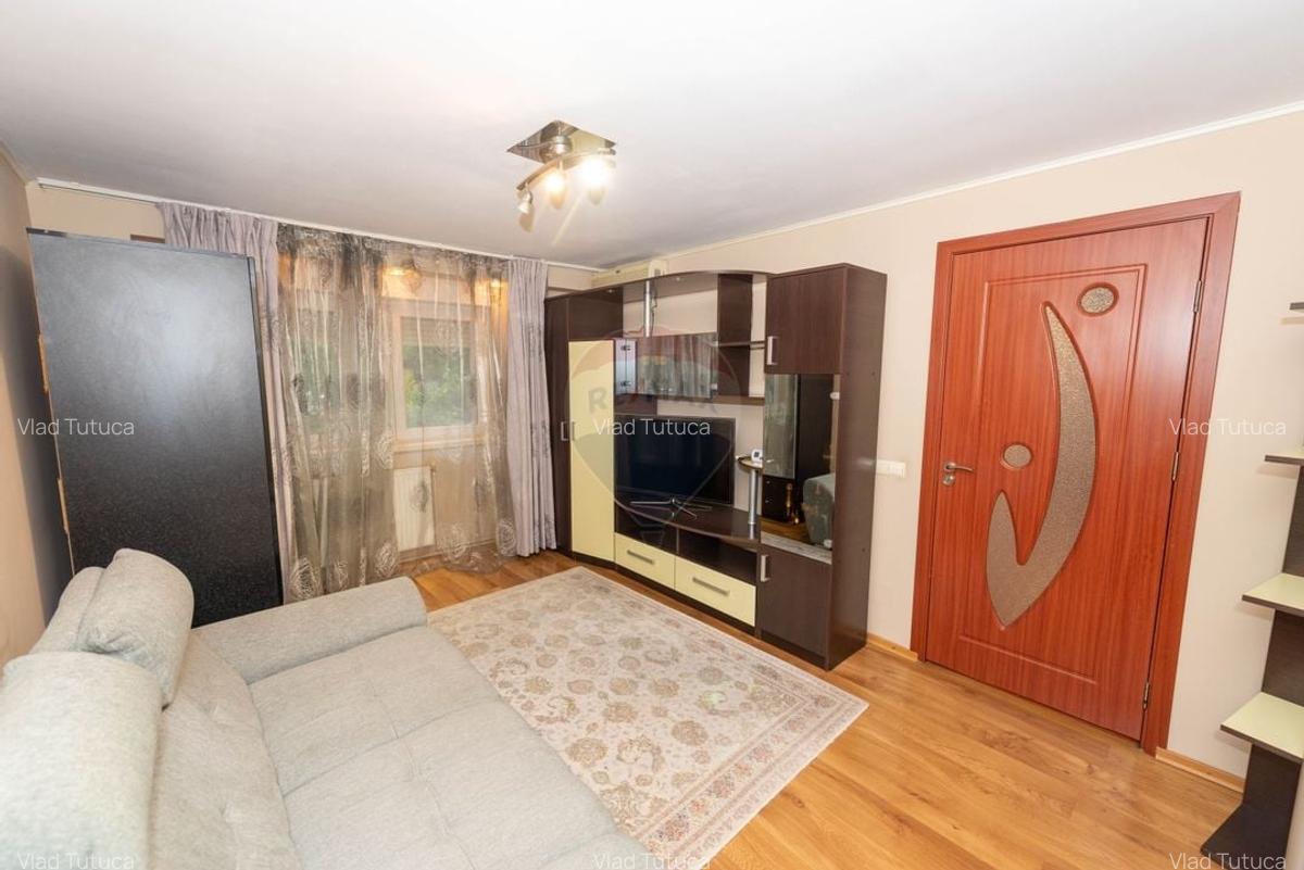 Apartament decomandat cu 2 camere de vanzare in zona Titan - Auchan - 11
