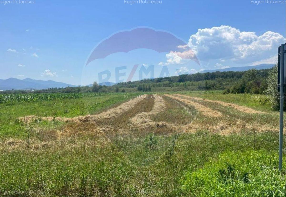 Oportunitate Unica de Investi?ie 14.800 mp Teren St... - 5