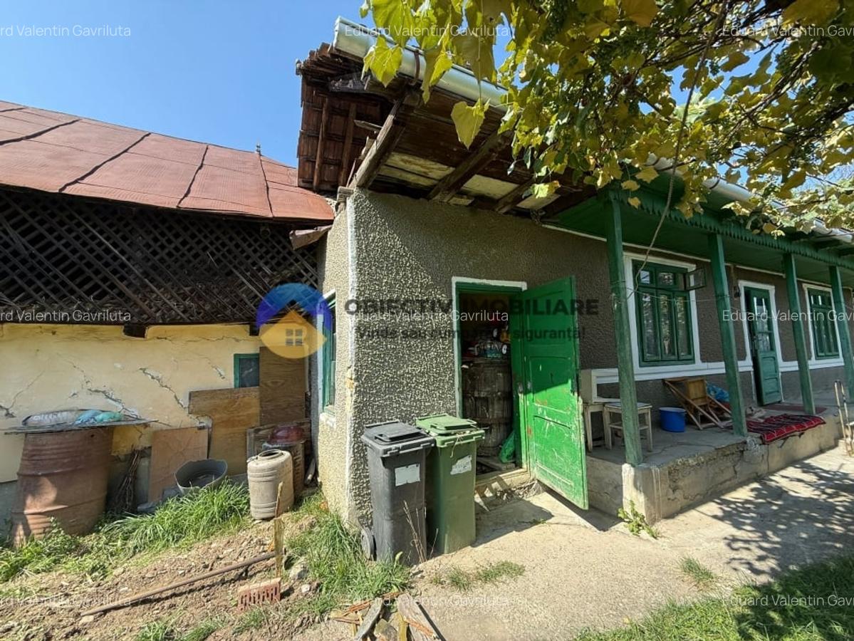 Casa batraneasca / Piatra Neamt / Pentru iubitorii de natura - 13