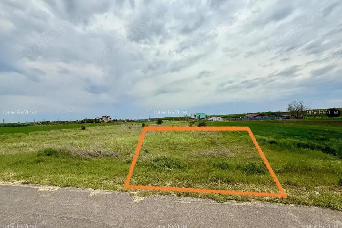 Teren intravilan de 1000 mp in Gradi?tea, Ilfov ideal pentru casa ta - 4