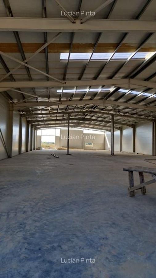 HALA NOUA depozitare si spatiu de birouri RUDENI - 3