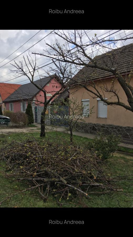 Vand casa - 2