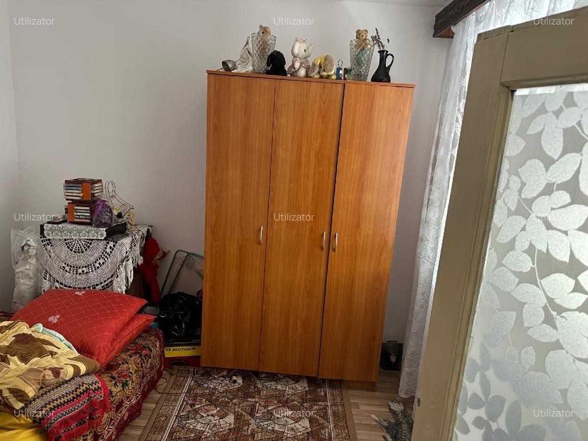 Casa formata din 2 corpuri si un garaj in comuna Branceni - 10