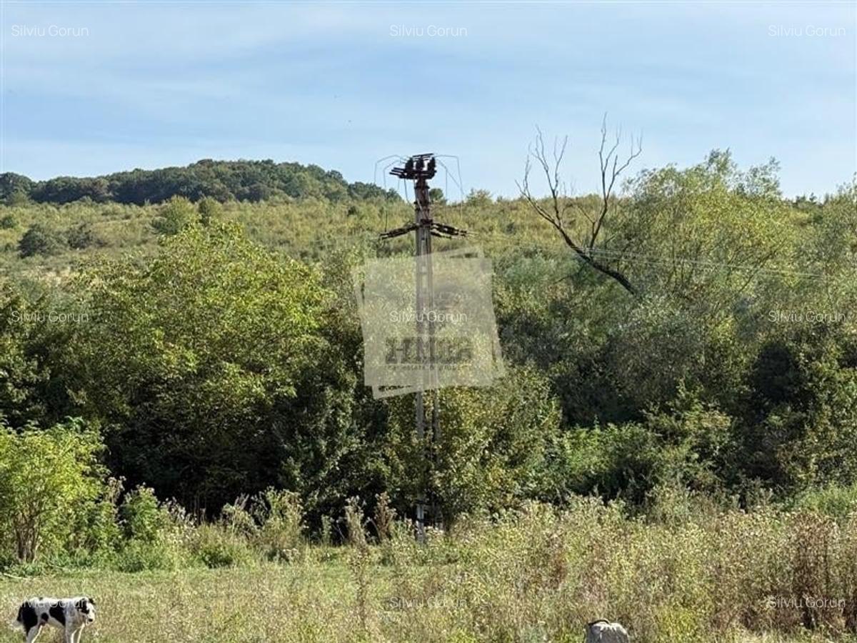 Teren extravilan 40.000 mp sau 80.000 mp in Gusterita - 5
