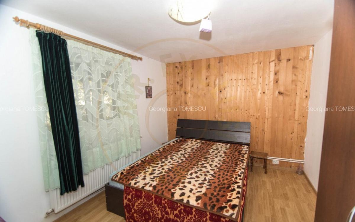 Casa Golesti - Stefanesti - 3000 Mp Teren - 7