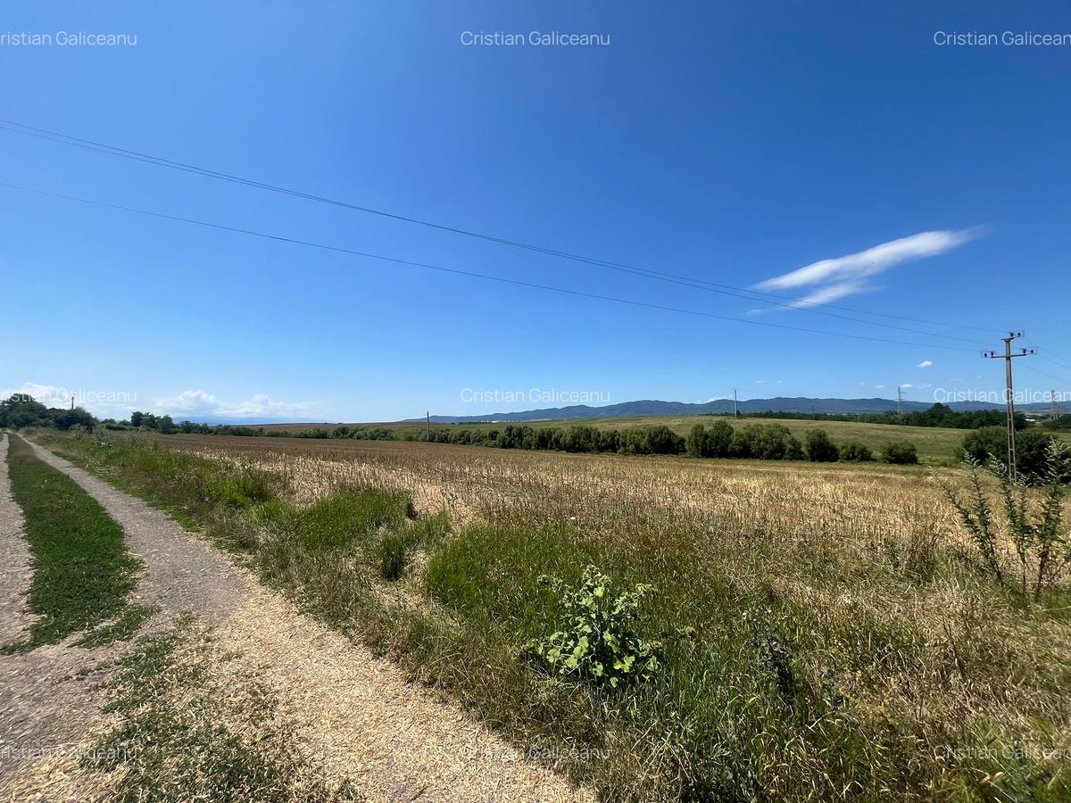 De vânzare teren extravilan – Calea Feldioarei, 10.000 mp - 5