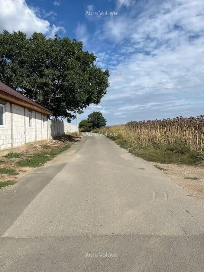 Terenuri pentru constructie rezidentiala Moara Vlasiei, 10 min de Bucuresti - 3