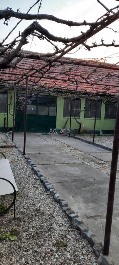Vand casa cu teren 5725 mp, livada 100 pomi fructiferi, hala 220 mp in Dragoiesti, jud Timis - 2