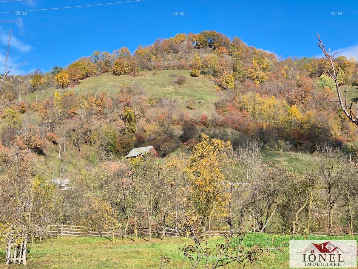 Casa de vanzare in Trampoiele (Zlatna) - 10