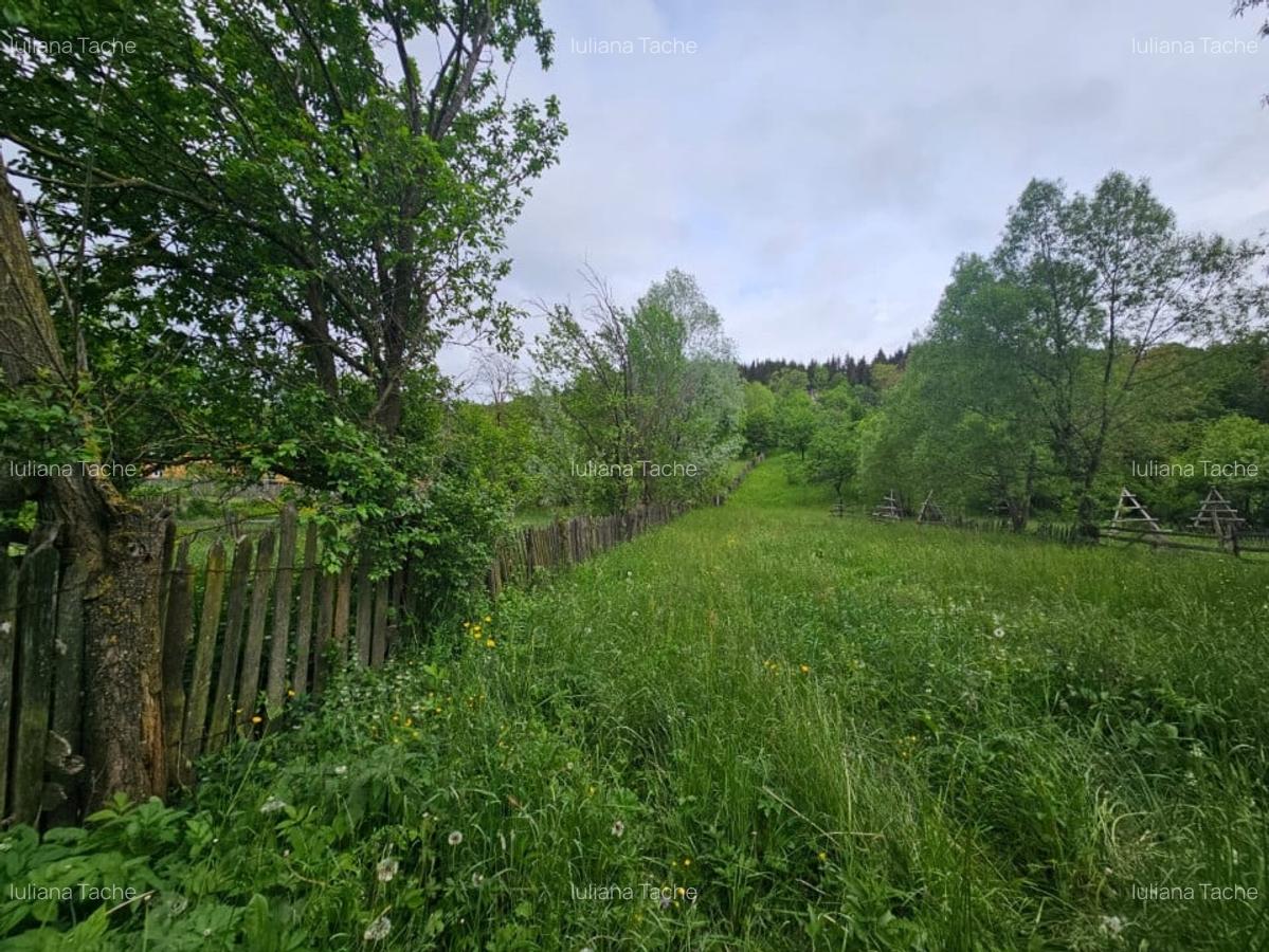 Teren Construcții intravilan de 1660 mp, în Valea Doftanei - 5