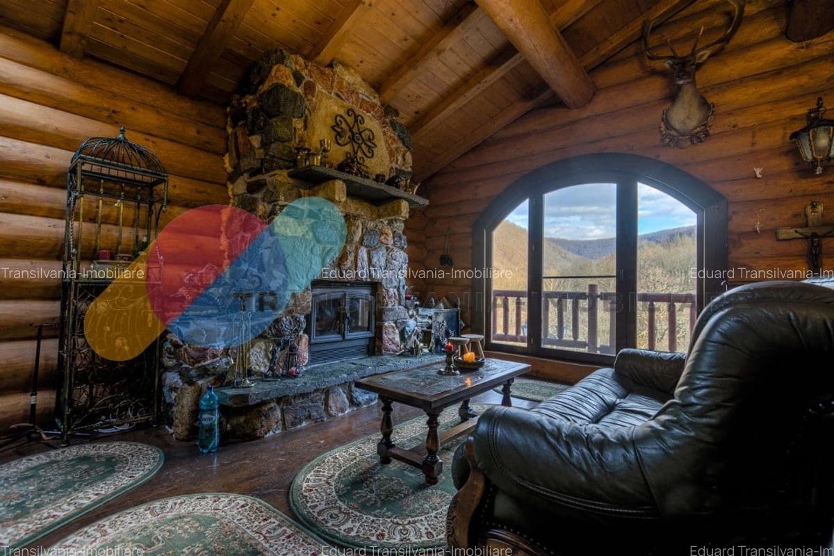 Complex  Printesa din Carpati  - Oportunitate de Investitie Unica pe Valea Aries - 11