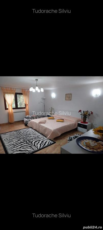 Vind casa mobilata Petre?ti - 4