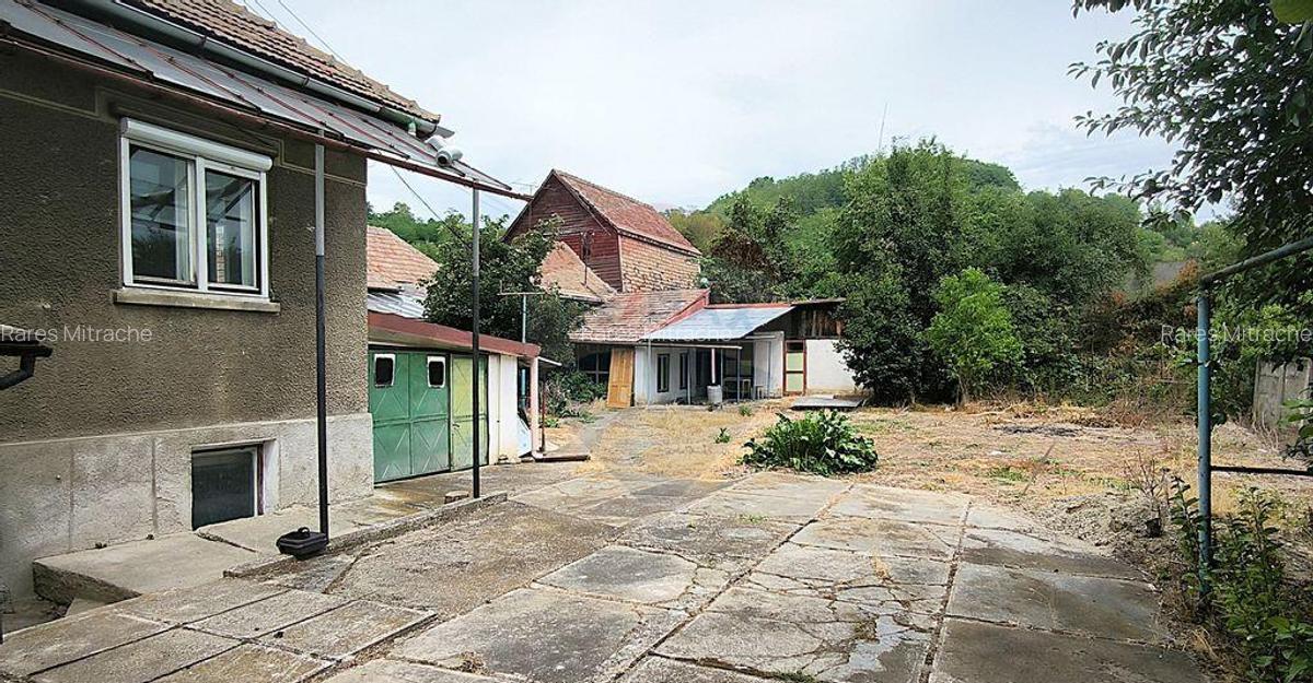 Casa pe un nivel in Medias, teren 533 mp, curte dreapta - 7