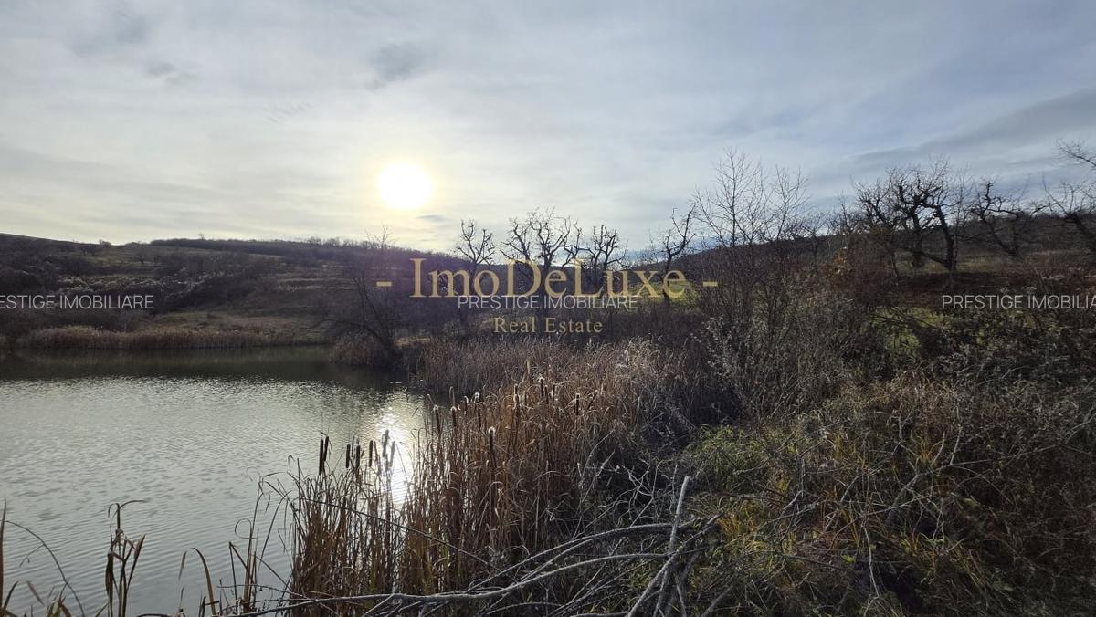 Teren extravilan langa lac, 8500mp, priveliste, acces, utilitati, zona Baciu - 2