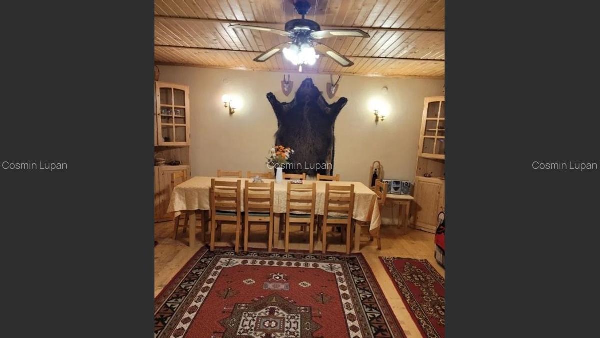 Proprietate Unică în Inima Naturii - Galaoaia, Mureș - 8