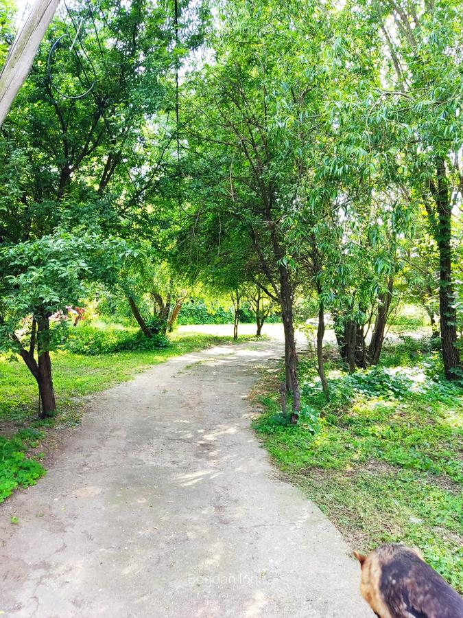 Casă cu 5 camere în Giulești - 4