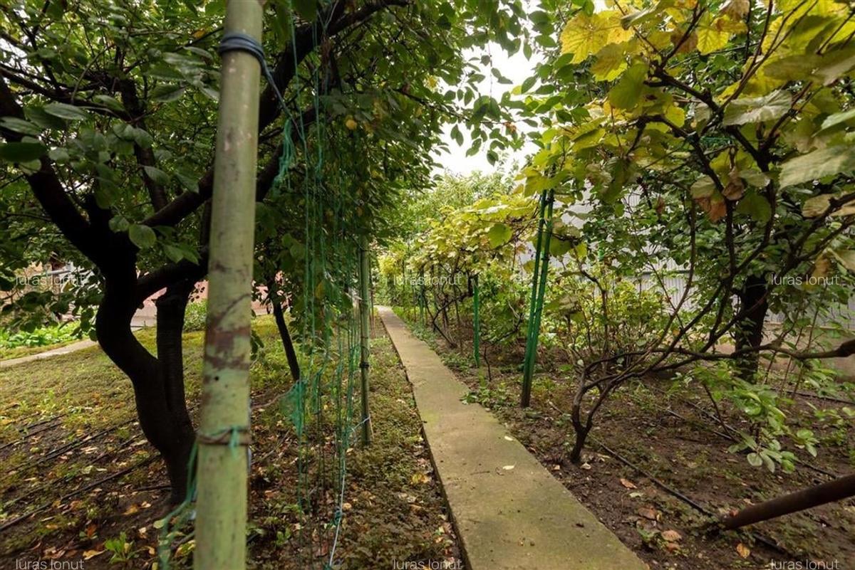 RECO, Casa pe strada Lipovei, Zona Iosia,  singur in curte, teren 503 mp, Oradea - 11