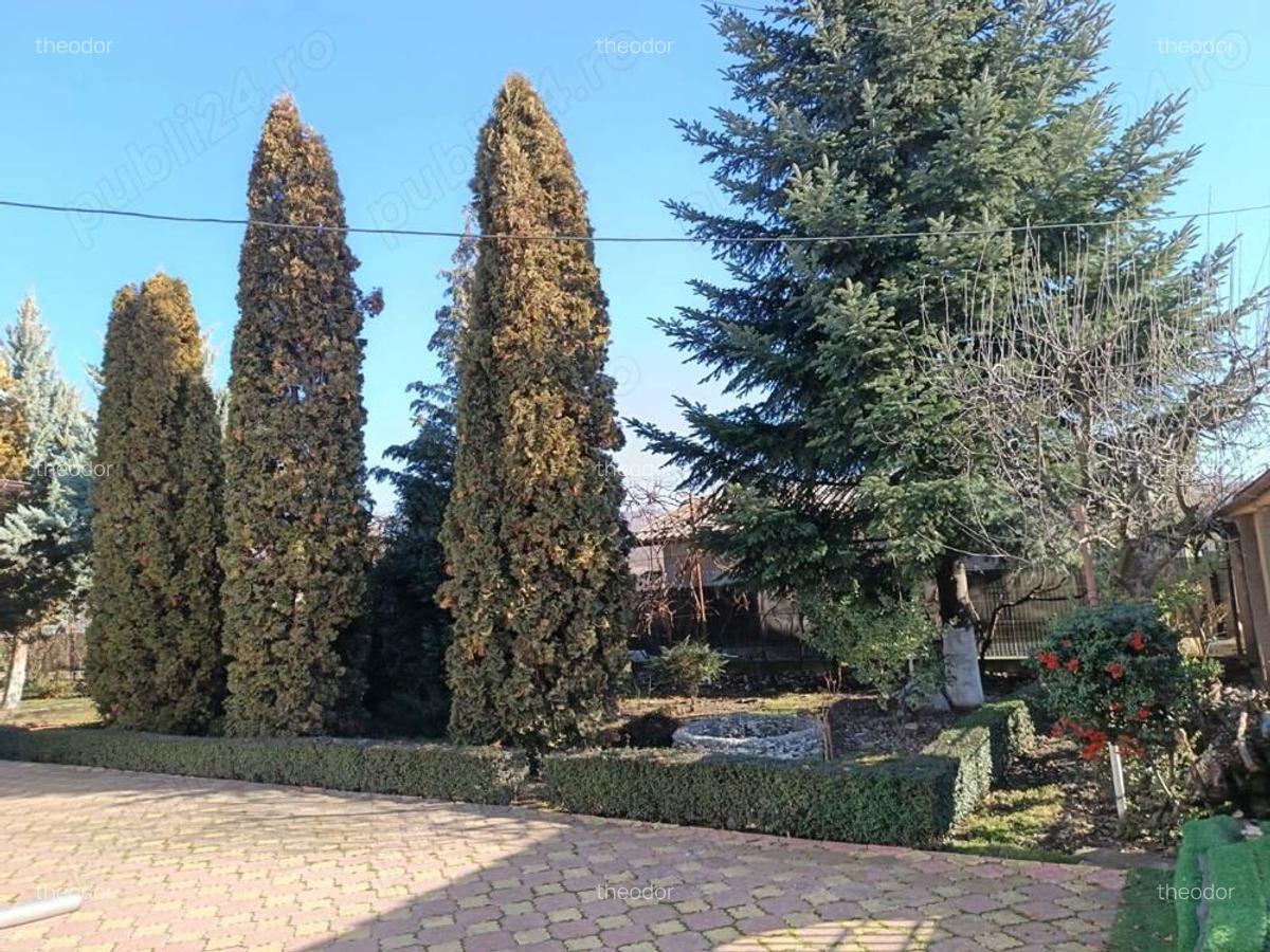 Casa de vanzare in Pucioasa (Comuna Mo?aieni, la 900 m de Pucioasa) - 6