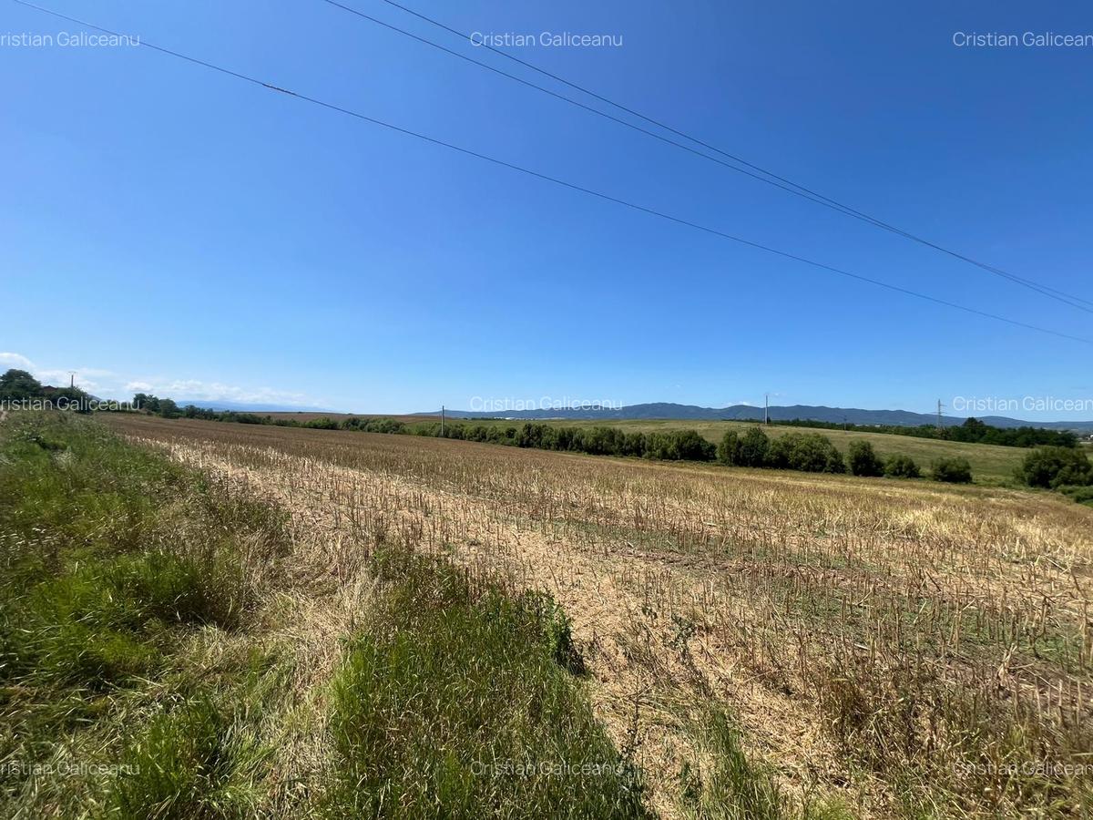De vânzare teren extravilan – Calea Feldioarei, 10.000 mp - 3