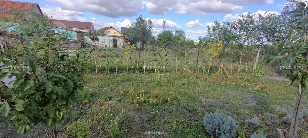 Casa 15 km de Timi?oara de vanzare - 17