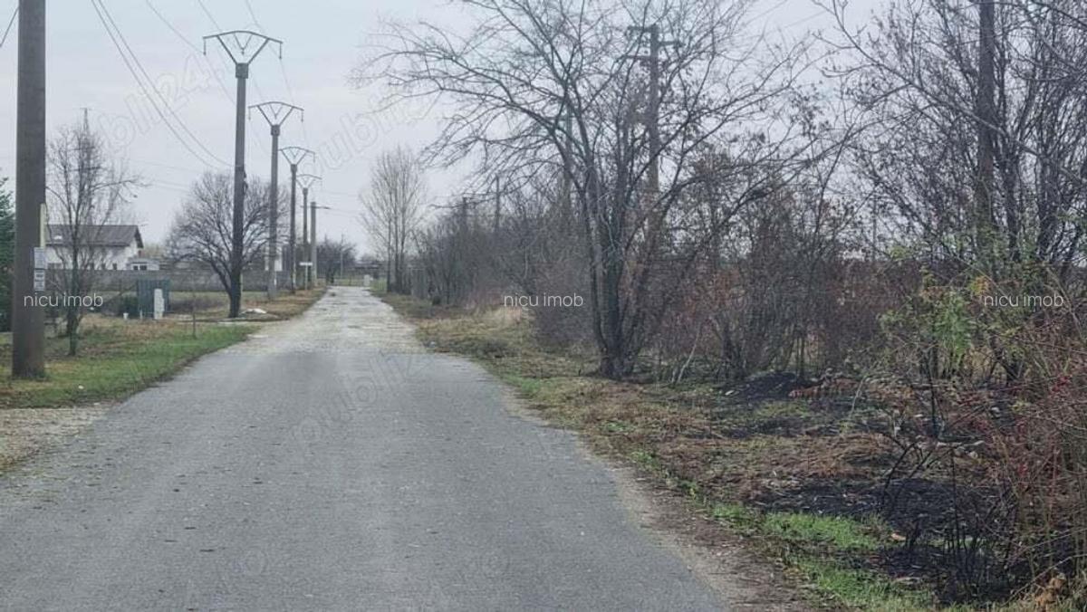 Vanzare Teren Rezidential 3500MP 1 Decembrie Ilfov - 8