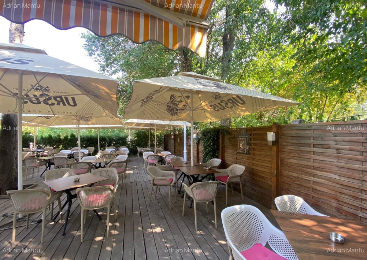 Restaurant de inchiriat Parcul Tineretului - 12
