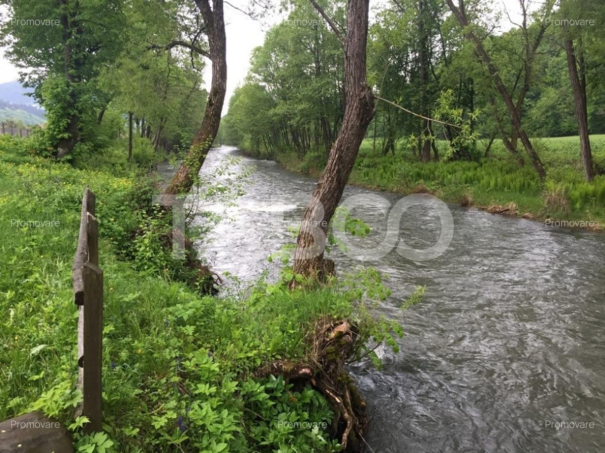 Teren de vanzare intravilan cu utilitati 3000mp la drum in Sacel - 1
