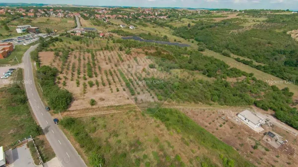 Teren intravilan 1,163mp de vanzare in Saldabagiu De Munte - 6