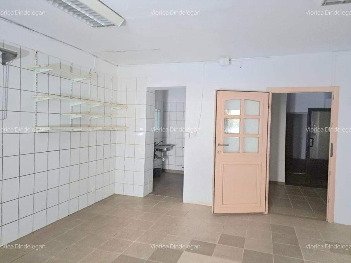 Spatiu Comercial SAD vad bun I Sagului - 3