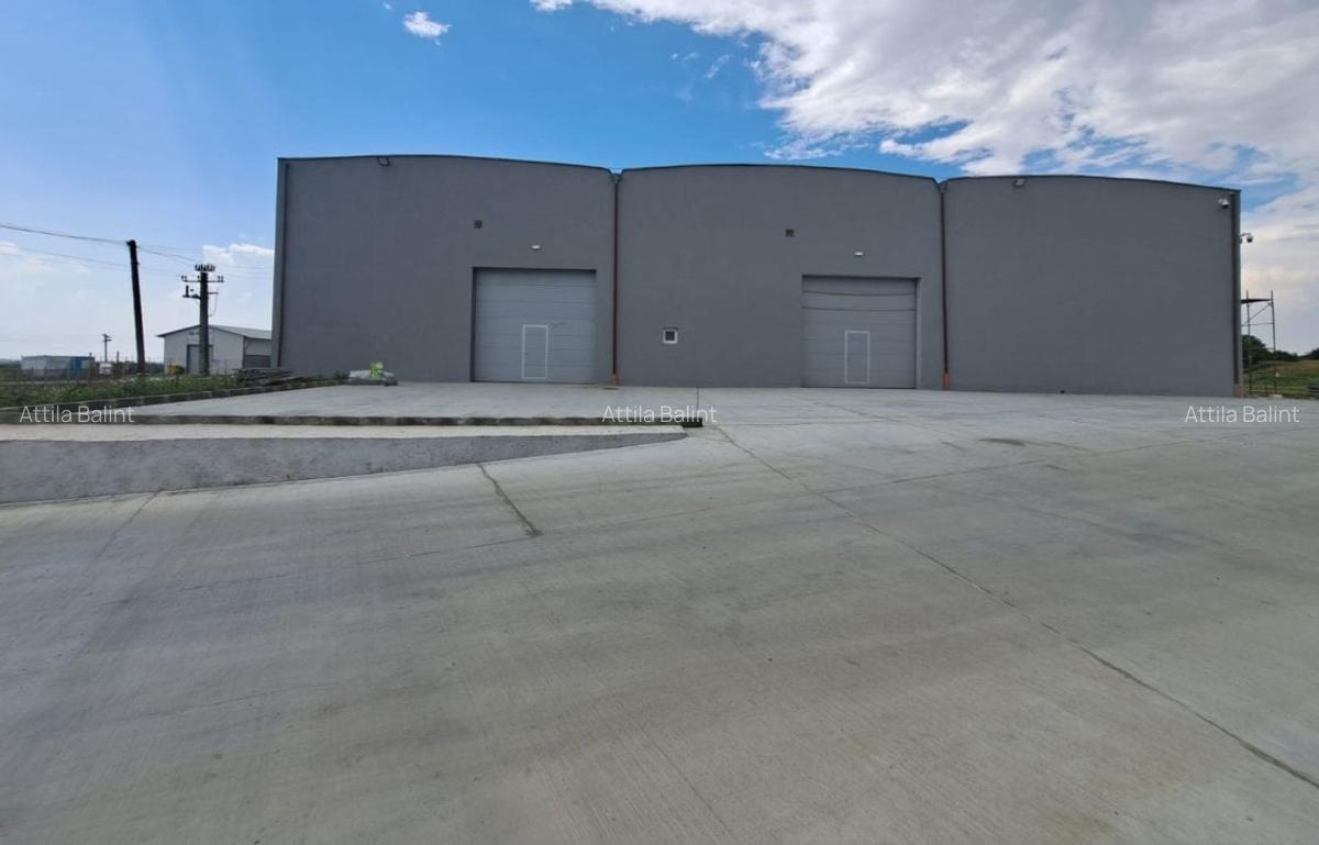 Inchiriez hala 209 mp in Giarmata Mare 5.5 euro/mp + TVA - 13