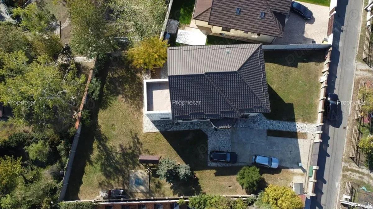 Vila Mogosoaia la padure si DN. - 4