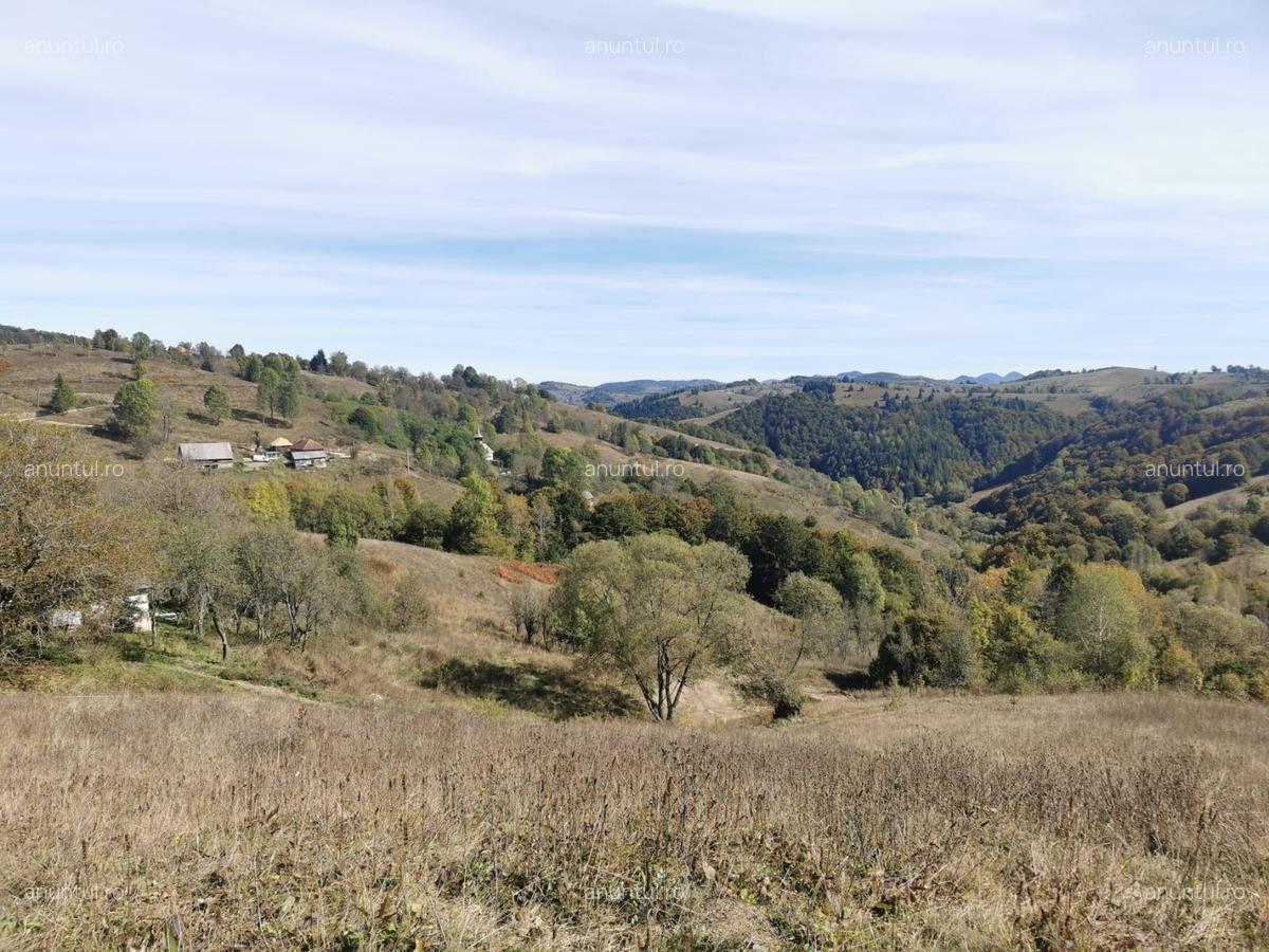 Valea Verde, Comuna. Sohodol, Judetul Alba - 1