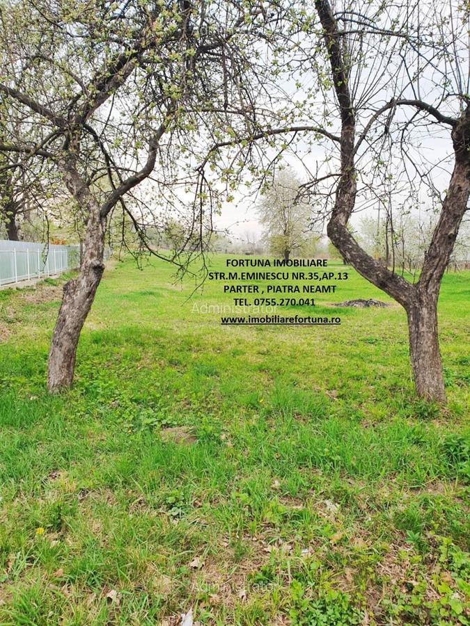 Teren intravilan Rediu, la 30 minute de oras, 4585 mp - 1