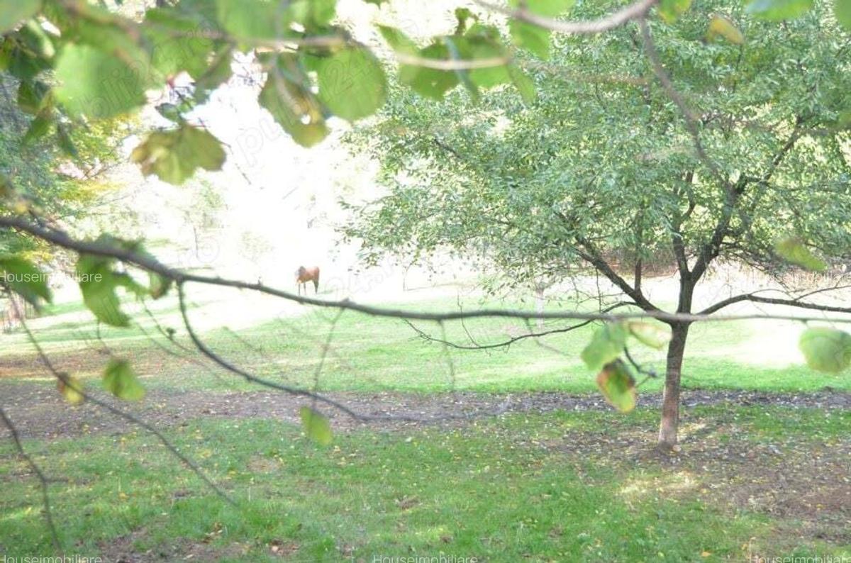 Brasov-Schei -Teren intravilan de vanzare - 9 Brasov-Schei -Teren intravilan de vanzare - 9