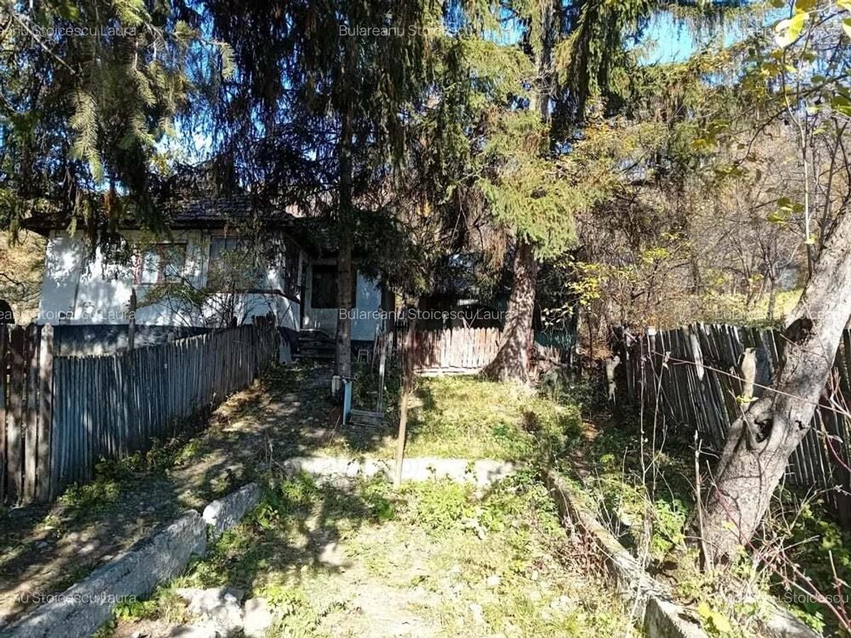 Casa + teren de vacanta Scorteni , Mislea - 7