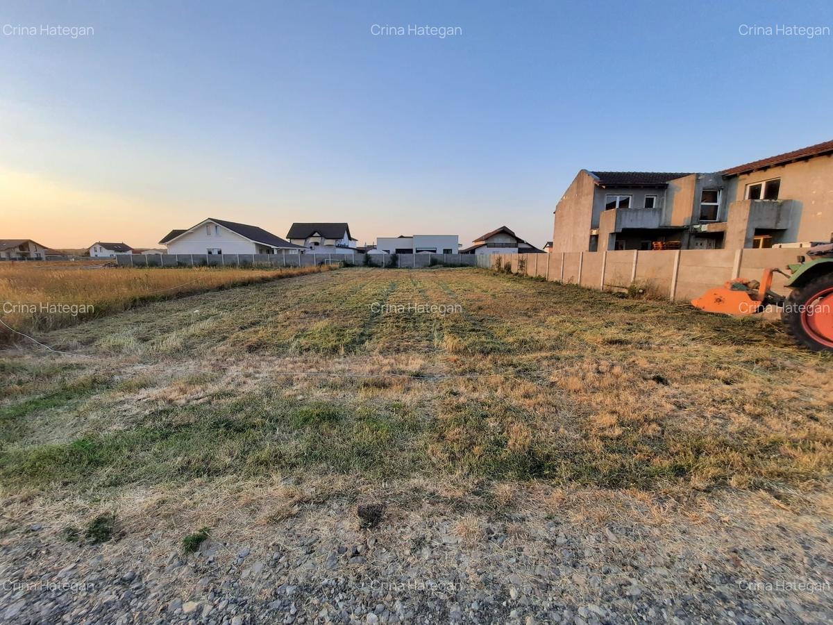 Teren de vânzare – 720 mp, intravilan, Moșnița Veche, utilități la parcelă - 1