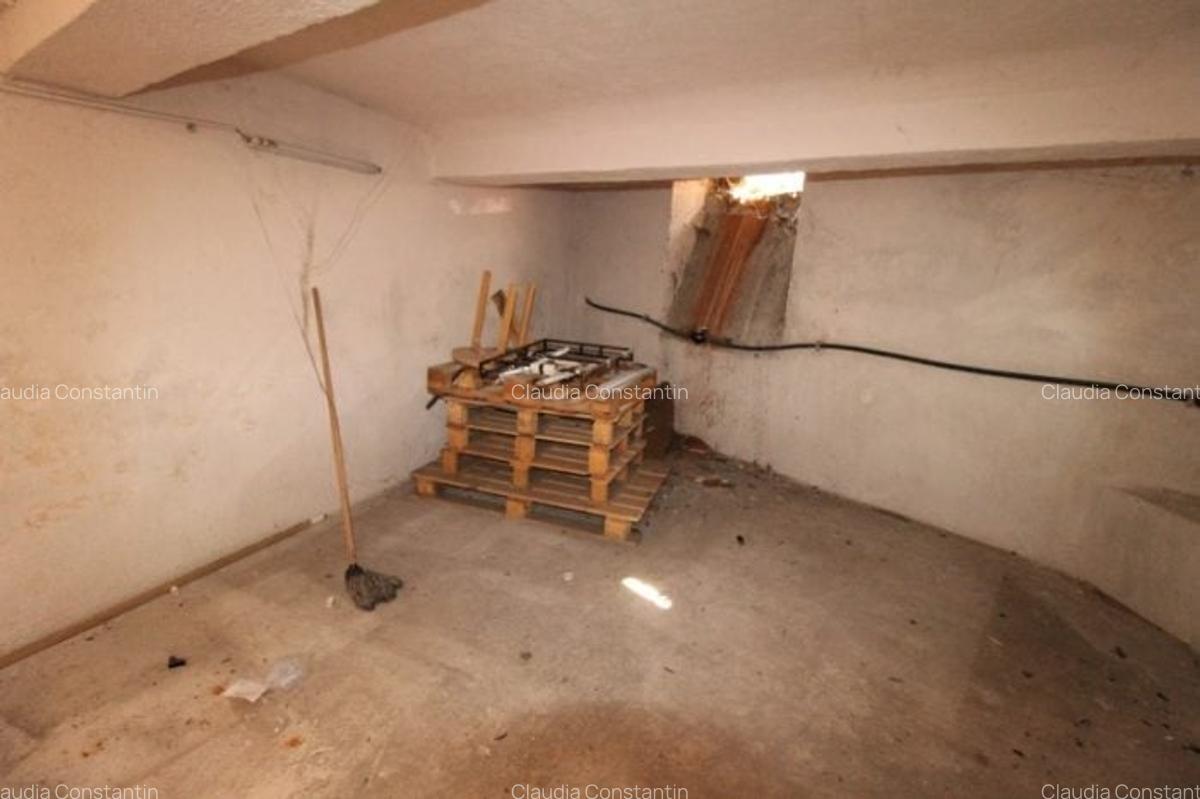 Inchiriere spatiu comercial, Vasile Lascar-Piata Gemeni - 4