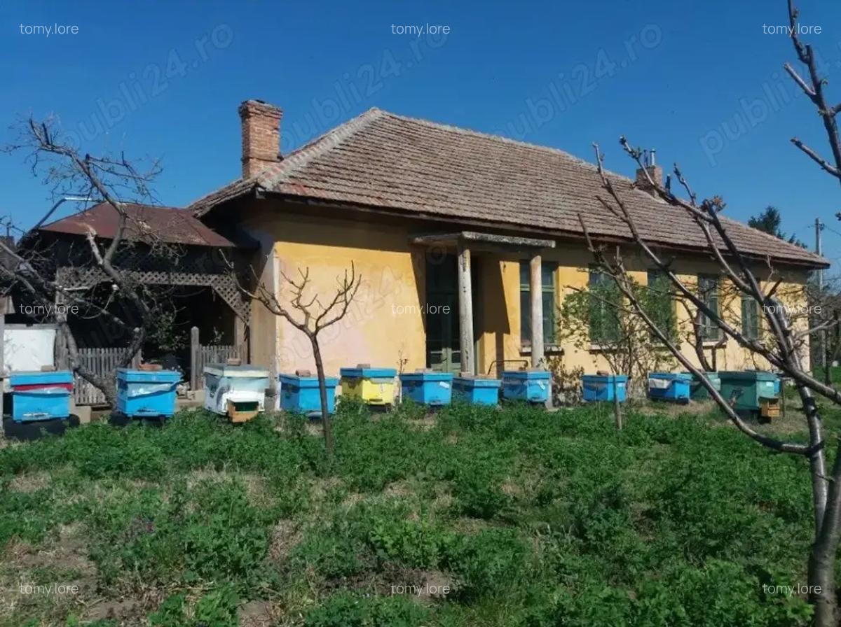Vand Casa Maglavit -Calea Severinului - 1