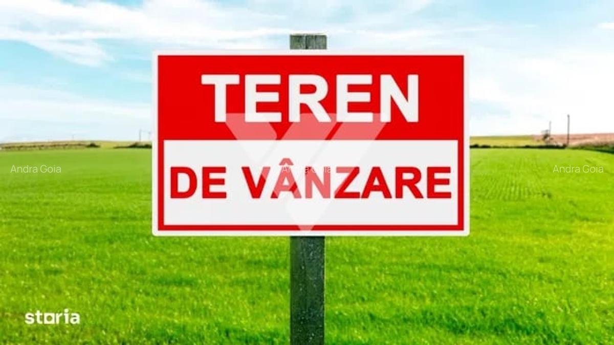 Teren intravilan 874 mp de vanzare - zona Sura Mare - 1