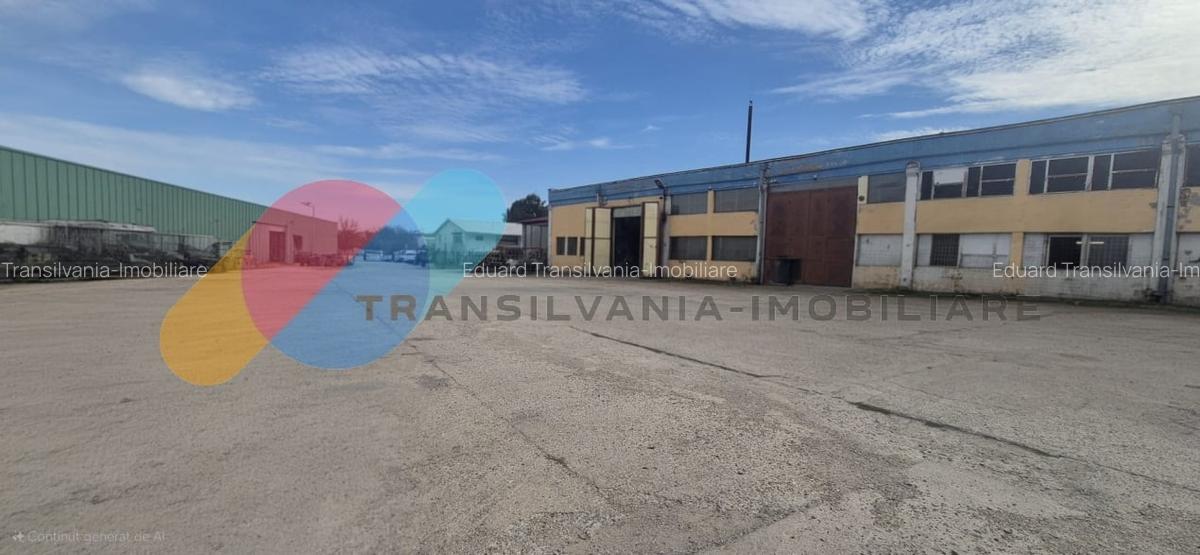 Spatiu industrial 600mp + 1500mp curte - Someseni - 1