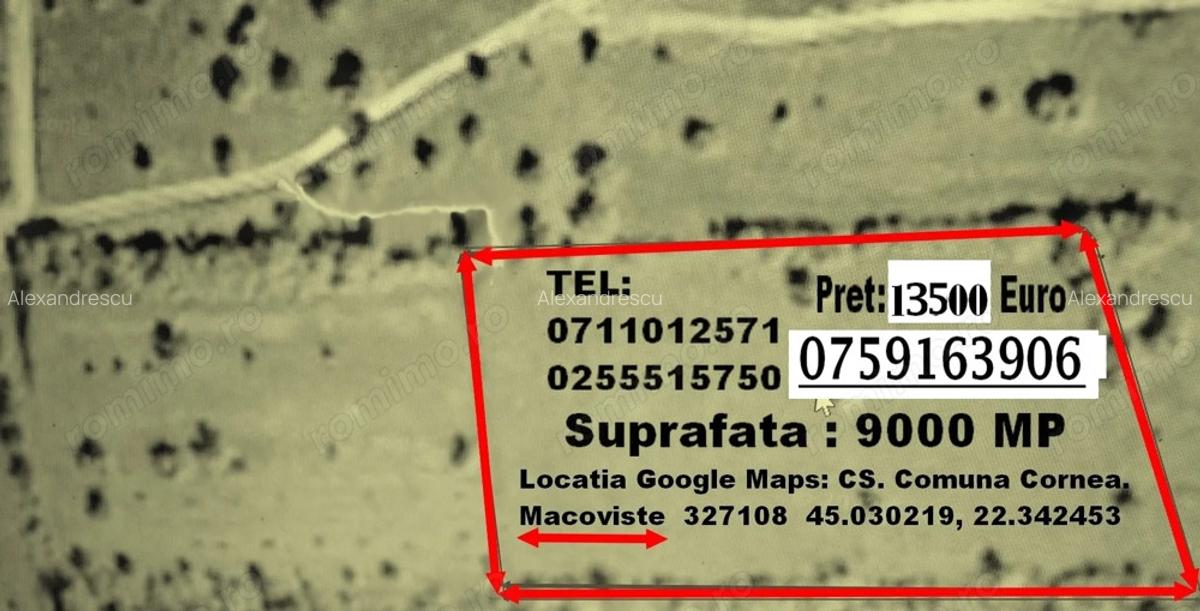 La Munte Proprietate compusa din o Casuta de 11Mo si 2 Terenuri insumand 11000 MP. - 5