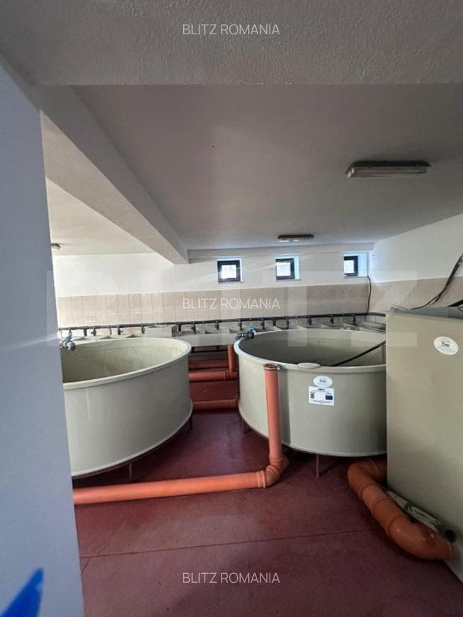 Pensiune/Ferma pescicola la cheie, teren 4000 mp, zona Molid, 0% comision - 5